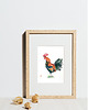 obrazy Oryginalna akwarela. Kogut 1
