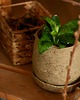 doniczki Z ZIEMI nr 1_doniczka ceramiczna 2