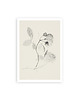 fotografia Beige Flower, kwiat fotografia,  1