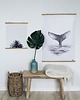 plakaty Plakat Ogon roz. 61x90 cm 6