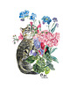 grafiki i ilustracje Plakat Kot w Pelargoniach 1