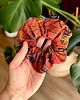 gumki do włosów Scrunchie/frotka Vintage ciemna 2