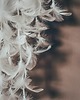 łapacze snów Łapacz snów z piórkami Serce Boho na ścianę 4
