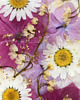 etui na telefon Etui z suszonymi kwiatami - romantyczne lato 4