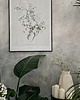 grafiki i ilustracje Jaśmin  print 50x70 cm 3