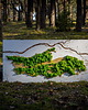 Ozdoby na ścianę Kampinoski Park Narodowy 4