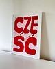 obrazy Obraz plakat akrylowy na płótnie - 'cześć piękna' 30x40cm 1