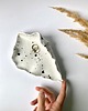 pojemniki na biżuterię Ceramiczna Muszla Dalmatyńczyk 1