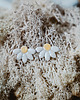 kolczyki ceramiczne Kolczyki ceramiczne DAISY 1