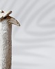 figurki i rzeźby Rzeźba Ceramiczna Struś w berecie 1
