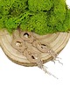 kolczyki soutache Beżowe kolczyki sutasz - kolekcja Glamour 4