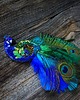 broszki Broszka Paw- na zamówienie 8