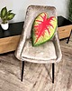 poduszki z grafiką Poduszka Liść Caladium Bicolor 4