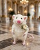figurki i rzeźby Myszka na balu filcowana igłą 10cm 1