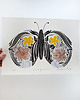grafiki i ilustracje Grafika  giclee SECRET Gardens II, grafika z motylem 2