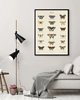 plakaty PLAKAT z motylami, plansza, grafika, motyle, owady 2