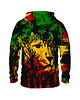 bluzy męskie Męska Bluza z kapturem DR.CROW Rasta Lion 1