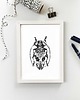 grafiki i ilustracje Owad w ramie 1
