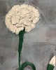 obrazy Obraz - Symbol , 50x70 1