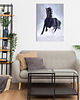 obrazy Obraz - Czarny koń - wydruk na płótnie 3