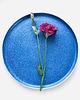 patery i talerze Talerz Big Blue 1