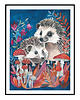 plakaty Hedgehogs ilustracja drukowana 1