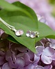kolczyki swarovski Kolczyki - Kryształy Swarovski - Chmurkowa lawenda 1