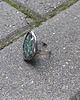 pierścionki - różne Zielonek - pierścionek regulowany 3
