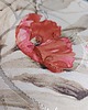 księgi gości i albumy ślubne Album ślubny 22.5x30.5cm 70 stron ecru 3