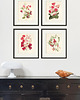 grafiki i ilustracje Zestaw Grafik Botanicznych Vintage 6