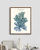 plakaty Plakat Glon Niebieski 1
