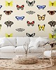 tapety i naklejki ścienne Butterfly 1