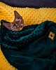 legowiska dla psów i kotów Kocyk CHILLOUT dla psa i kota, dwustronny, miękki materiał minky, musztardowy 3