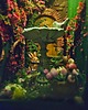 dodatki - różne Book nook diorama - tajemniczy ogród 3
