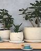 doniczki Doniczka ceramiczna 5