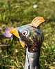figurki i rzeźby Kurarak ceramiczny 4