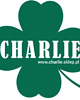 torby XXL Torba filcowa XL, torba laptopowa, duża torba CHARLIE 4