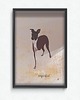 plakaty Plakat Perfectly imperfect 1