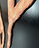 obrazy Road_ Cross Terra Obraz strukturalny 50x80 3