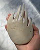 pojemniki na biżuterię Ceramiczna Łapka Handmade Talerzyk na Biżuterię Rustic Dalmatinian 6
