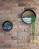 doniczki Zestaw  dwóch doniczek ściennych Circle planter 4