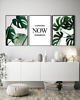 plakaty ZESTAW PLAKATÓW BOTANICZNYCH monstera 1