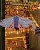 plakaty Plakat Ornete Moth - dekoracja ścienna motyl 3