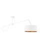 lampy wiszące Nowoczesna lampa wisząca na wysięgniku RIO GOLD 1