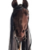 zabawki - inne Realistyczny Hobby Horse ciemny kasztan/czarna 5