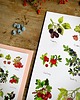 grafiki i ilustracje Owoce leśne- grafika na ścianę- ilustracja- las 3