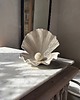 pojemniki na biżuterię Ceramiczna Muszla Muszelka Skarbiec z Perłą na Biżuterię Perłowa Biała 1