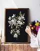 plakaty Plakat Black Flower 3