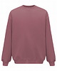 bluza bez kaptura damska Bluza Biggie Rose Brown 1