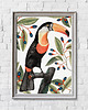 plakaty Tropikalny Tukan 50x70 cm - plakat B2 1